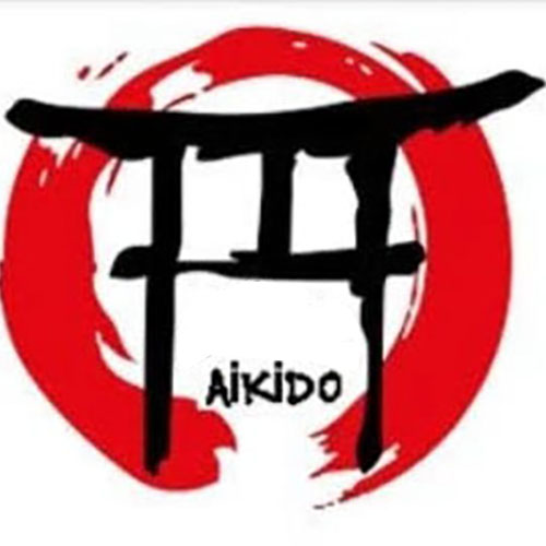 Play Factory Aikido - Harun Yıldırım
