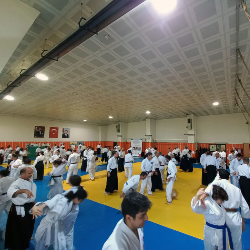 Türkiye Aikido Organizasyonu İzmir Semineri