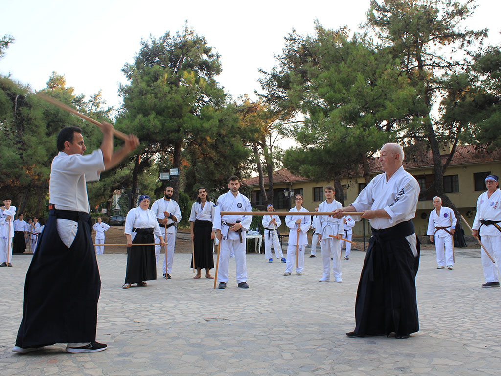 Türkiye Aikido Organizasyonu