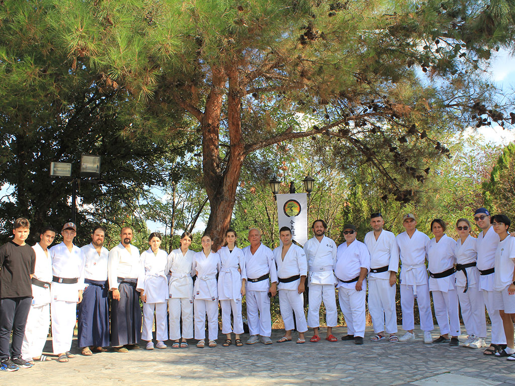 Türkiye Aikido Organizasyonu
