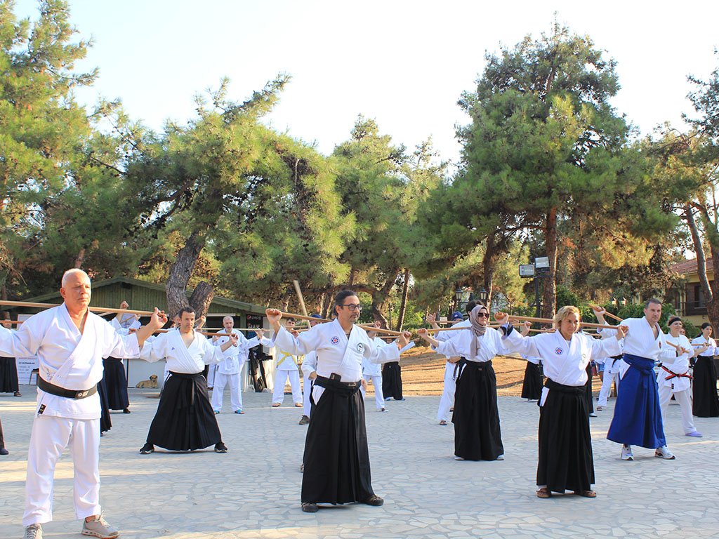 Türkiye Aikido Organizasyonu