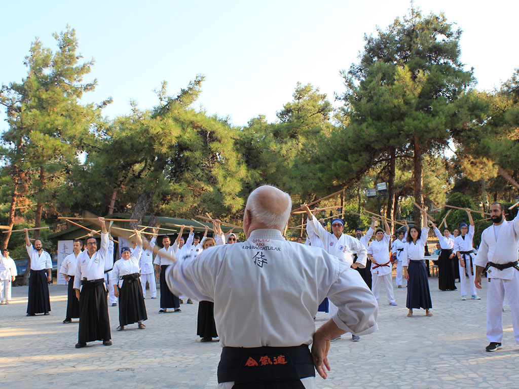 Türkiye Aikido Organizasyonu